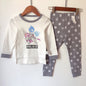 Spring and Autumn Pure Cotton Korean-Style Slim Fit Underwear Long-Sleeve Pants Platonelstore