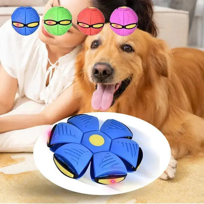 Dog Toys Flying Disc Ball Interactive Outdoor Exercise Training Game Magic Deformation Flat Throw Disc Bouncy Ball Pet Supplies Platonel
