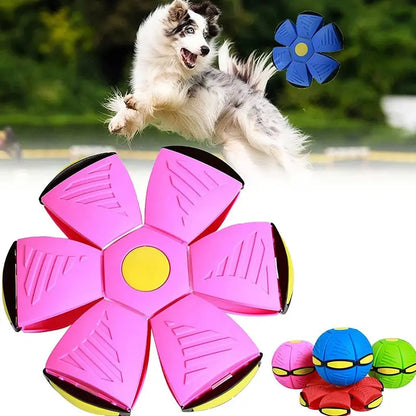 Dog Toys Flying Disc Ball Interactive Outdoor Exercise Training Game Magic Deformation Flat Throw Disc Bouncy Ball Pet Supplies Platonel